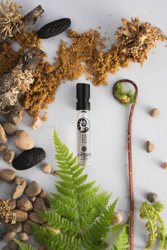 ADVENTURE DISCOVERY SET - Shloksha